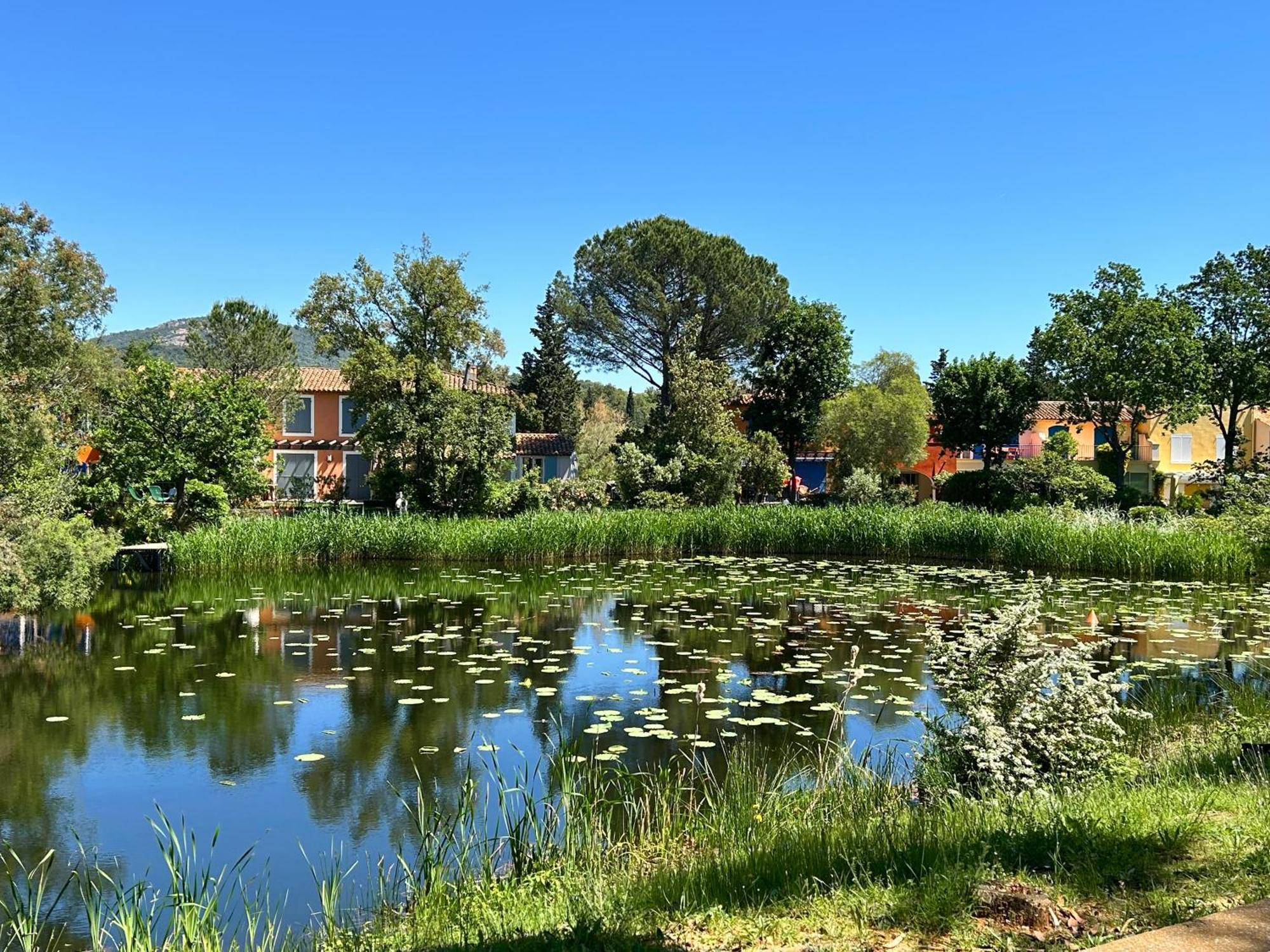 Les Restanques Pressoir 3029 Lejlighed Grimaud Eksteriør billede